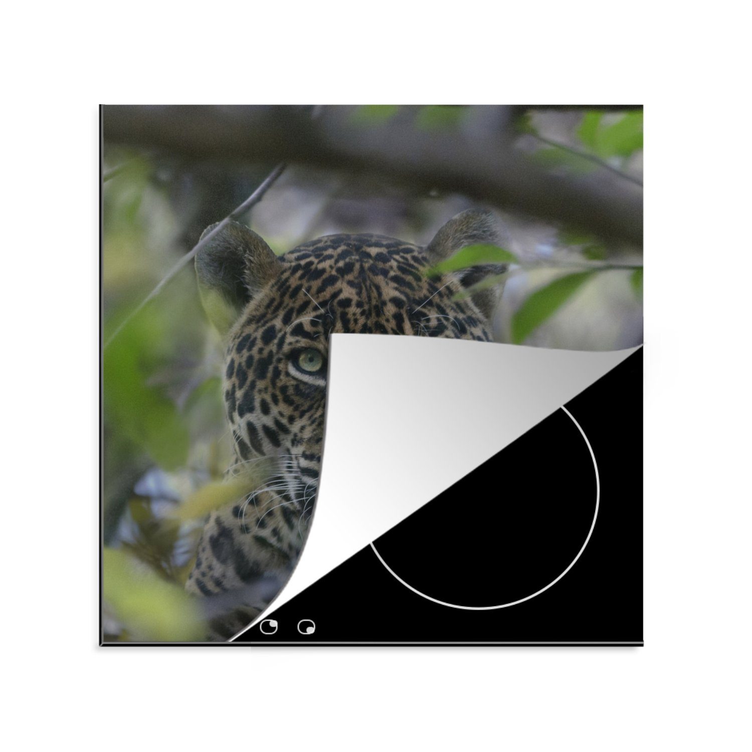 MuchoWow Herdblende-/Abdeckplatte Bolivien - Jaguar - Blatt, Vinyl, (1 tlg), 78x78 cm, Ceranfeldabdeckung, Arbeitsplatte für küche