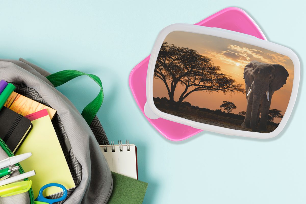 Lunchbox - - Kunststoff Kunststoff, Brotdose (2-tlg), Kinder, Snackbox, rosa Baum Afrika, Brotbox für Elefant Mädchen, Erwachsene, MuchoWow