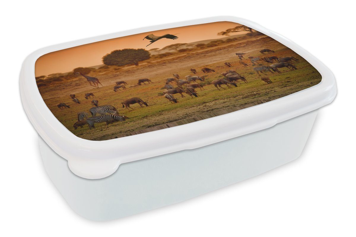 MuchoWow Lunchbox Gnus beim Grasen zwischen anderen Wildtieren in Kenia, Kunststoff, (2-tlg), Brotbox für Kinder und Erwachsene, Brotdose, für Jungs und Mädchen weiß