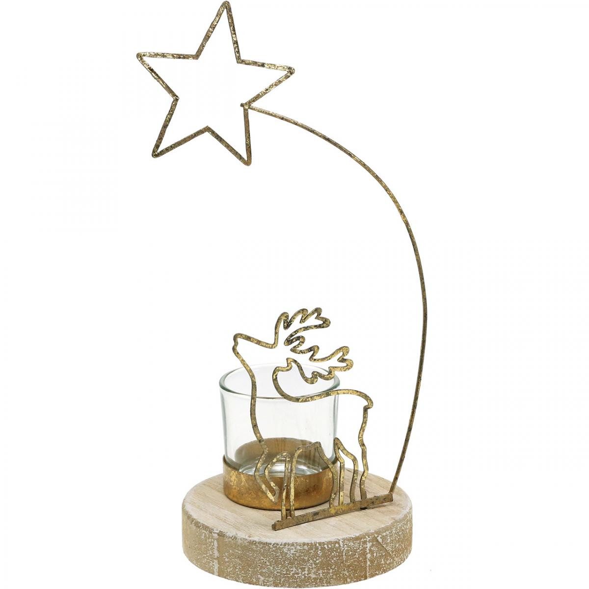 Florists Products Kerzenhalter Teelichthalter Rentier Weihnachtsstern Metall Deko Gold Ø10cm