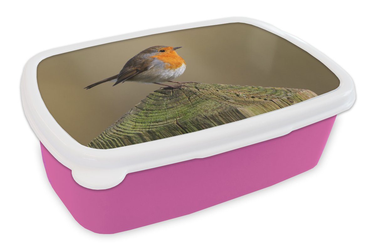 Holz, Snackbox, Brotbox Kinder, (2-tlg), Kunststoff, Erwachsene, für Vogel - - Brotdose rosa Lunchbox Kunststoff Rotkehlchen Mädchen, MuchoWow