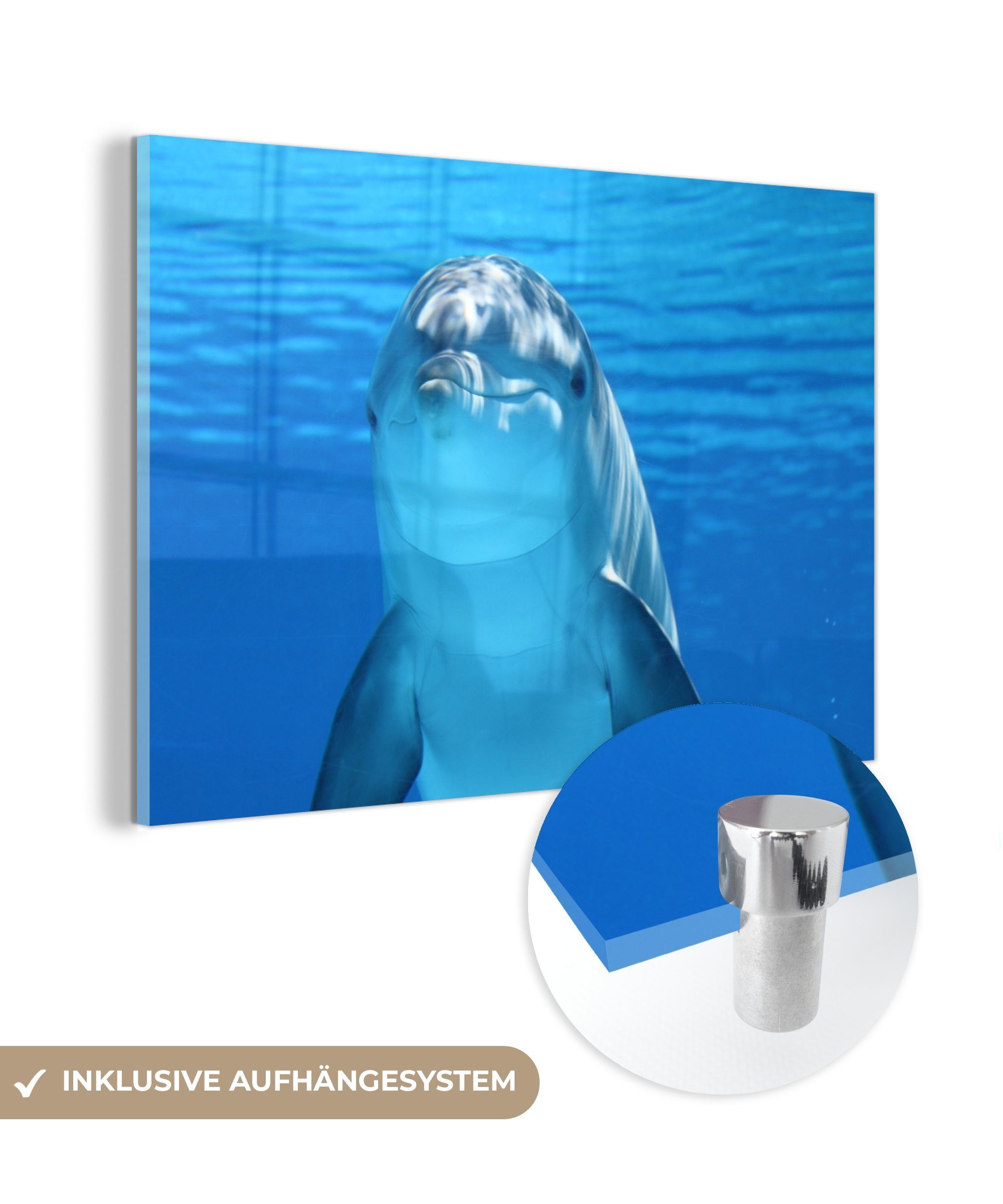Blau, Delfin Wohnzimmer Acrylglasbilder Schlafzimmer Wasser - - Acrylglasbild St), & MuchoWow (1