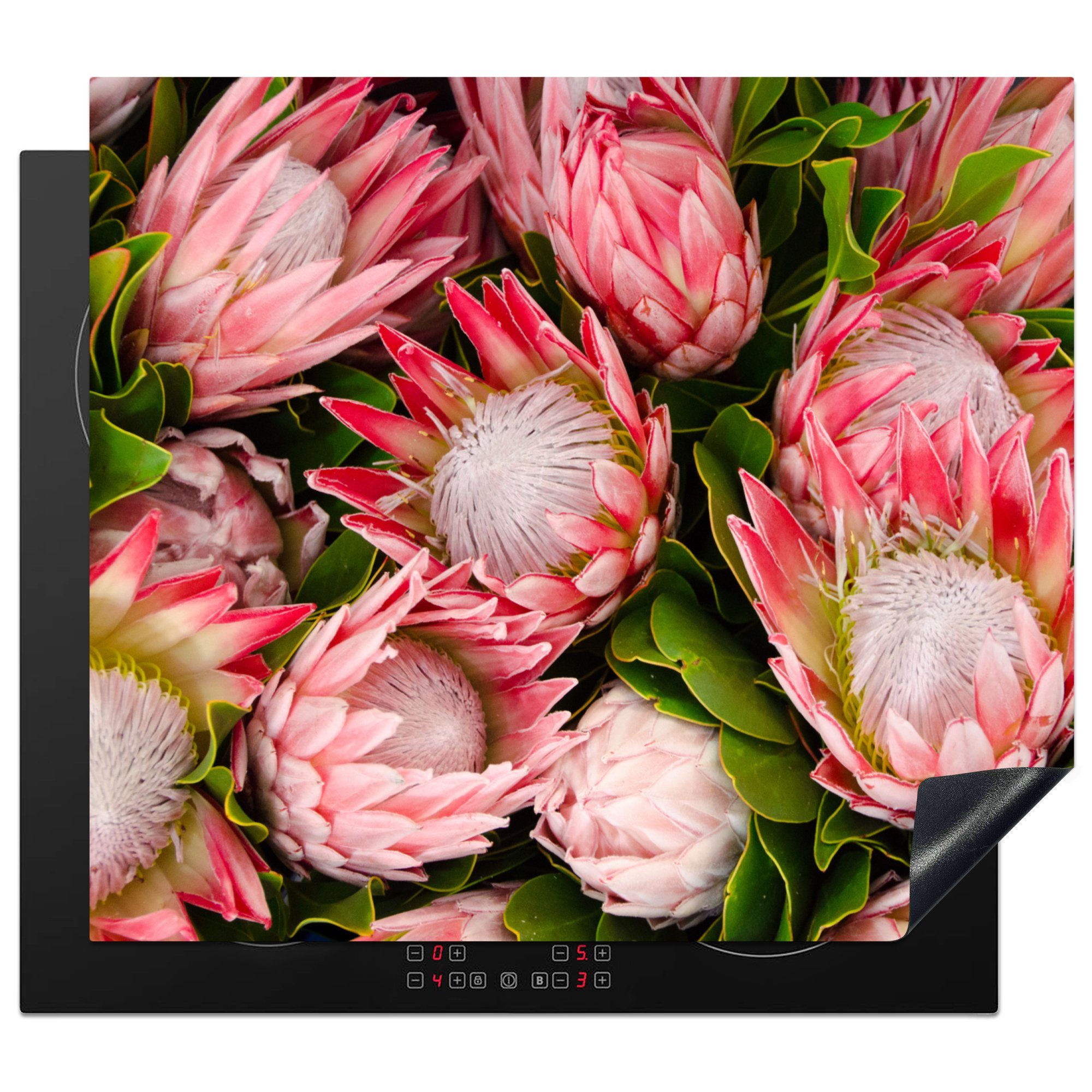 MuchoWow Herdblende-/Abdeckplatte Blumen - Rosa - Protea, Vinyl, (1 tlg), 60x52 cm, Mobile Arbeitsfläche nutzbar, Ceranfeldabdeckung