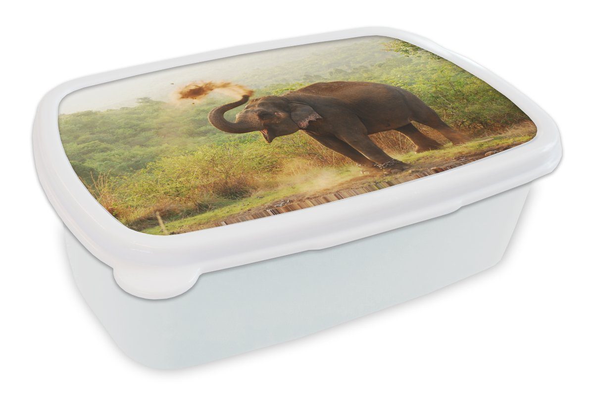 (2-tlg), - - Bäume, Mädchen Lunchbox MuchoWow Elefant und für Brotdose, und Erwachsene, Kinder Wald - Kunststoff, für Jungs weiß Brotbox Tiere