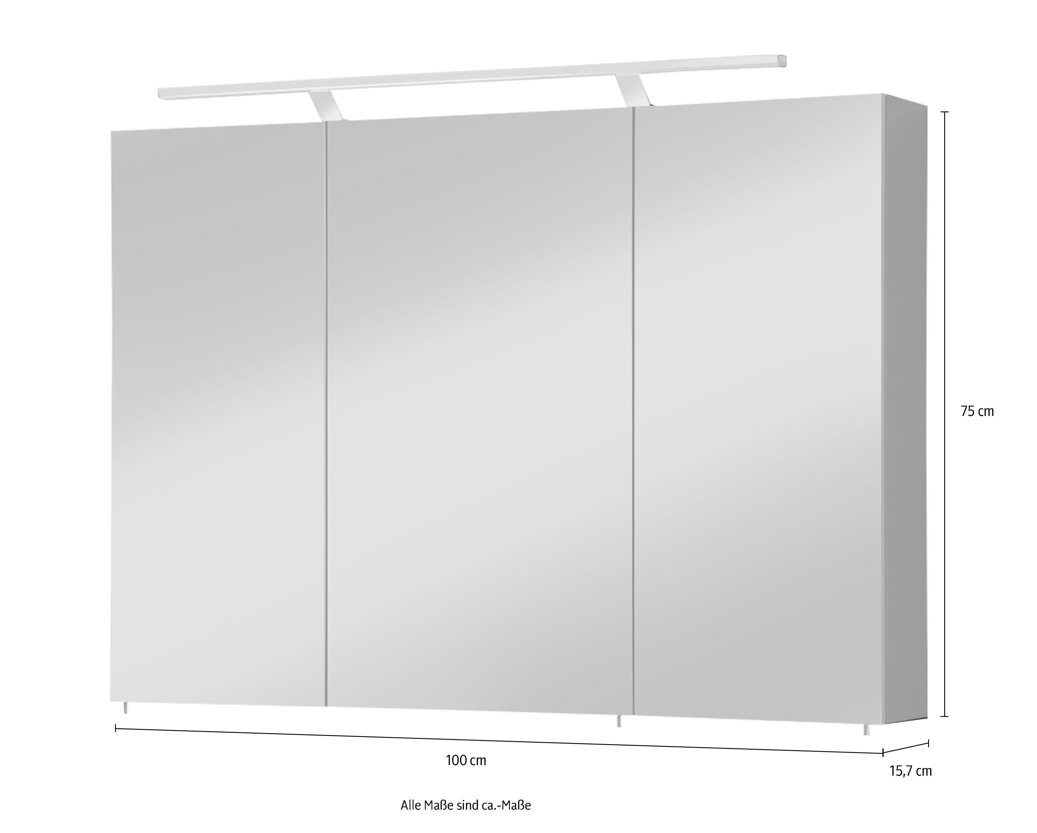 basaltgrau | Breite 100 basaltgrau 3-türig, Torino Schalter-/Steckdosenbox welltime LED-Beleuchtung, cm, Spiegelschrank