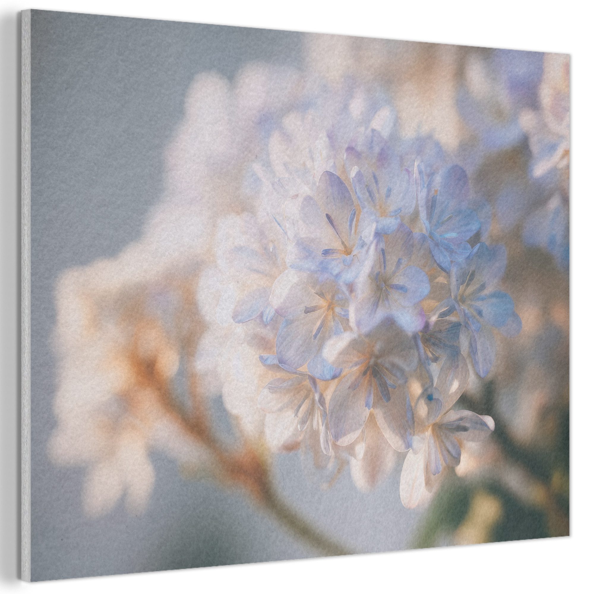 MuchoWow Gemälde Blumen - Hellblau - Unscharf - Büschel, Fotodruck (1 St), Akustikpaneele PET-Filz, Akustikbild, Schalldämmung, Deko 40x30 cm