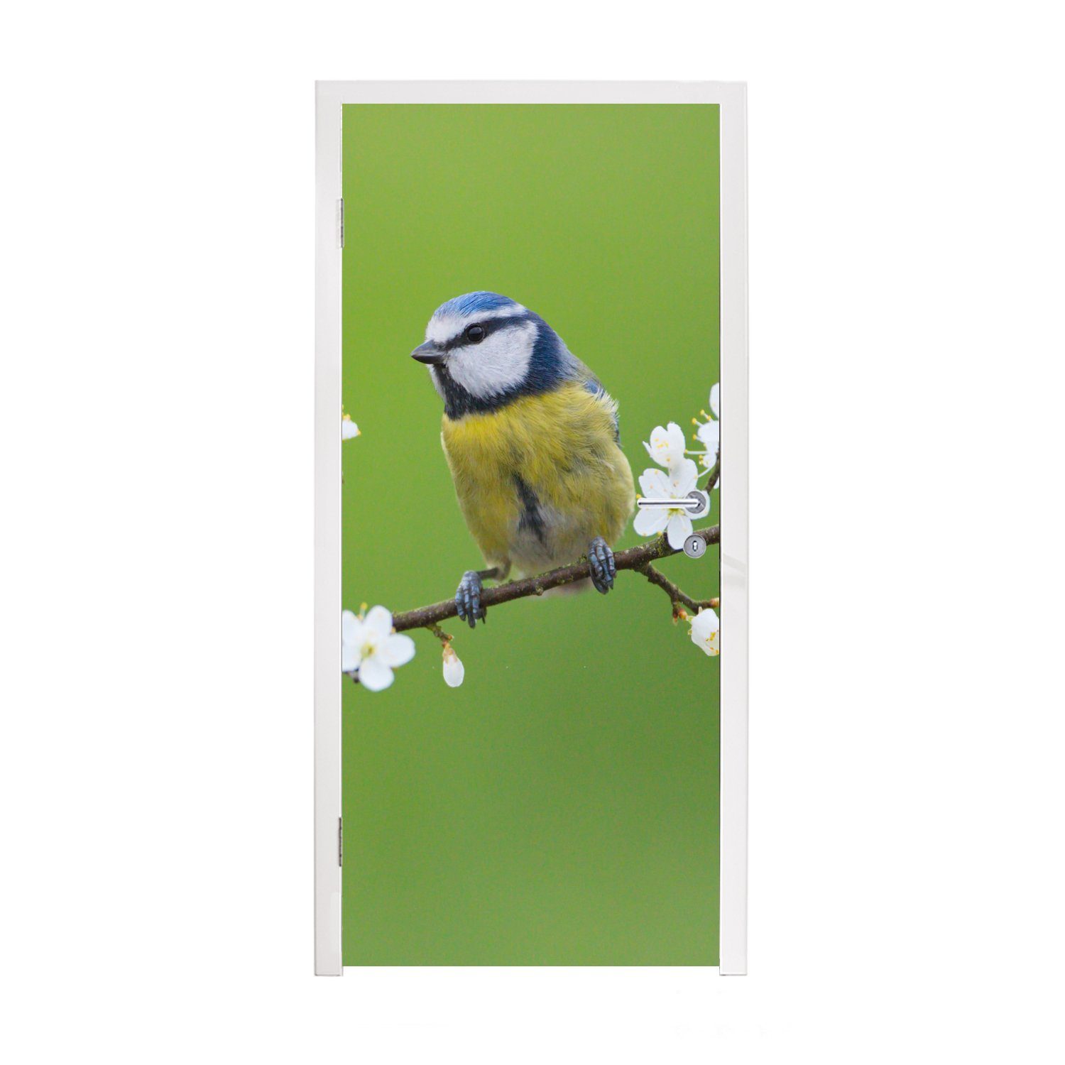 cm - - für Zweige (1 Fototapete bedruckt, - Matt, Blaumeise Blumen - MuchoWow 75x205 Tür, Zweig St), Türtapete Türaufkleber, Vogel, Blühende