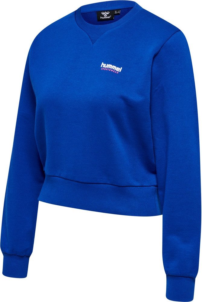 hummel Hoodie Hmllgc Shai Short Sweatshirt