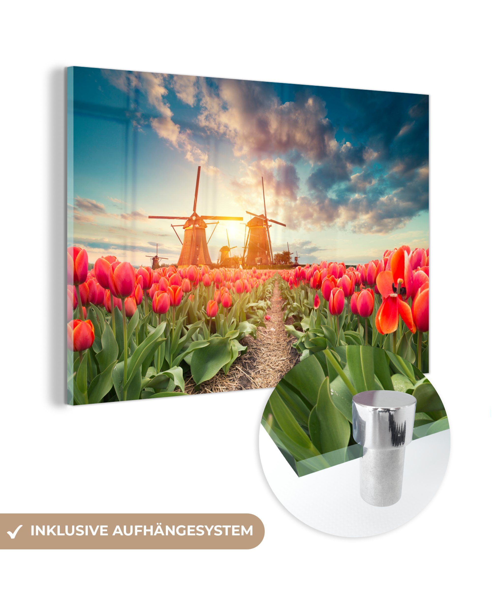 Wohnzimmer MuchoWow Windmühle Acrylglasbild Sonne, Blumen (1 - St), - Acrylglasbilder Schlafzimmer &