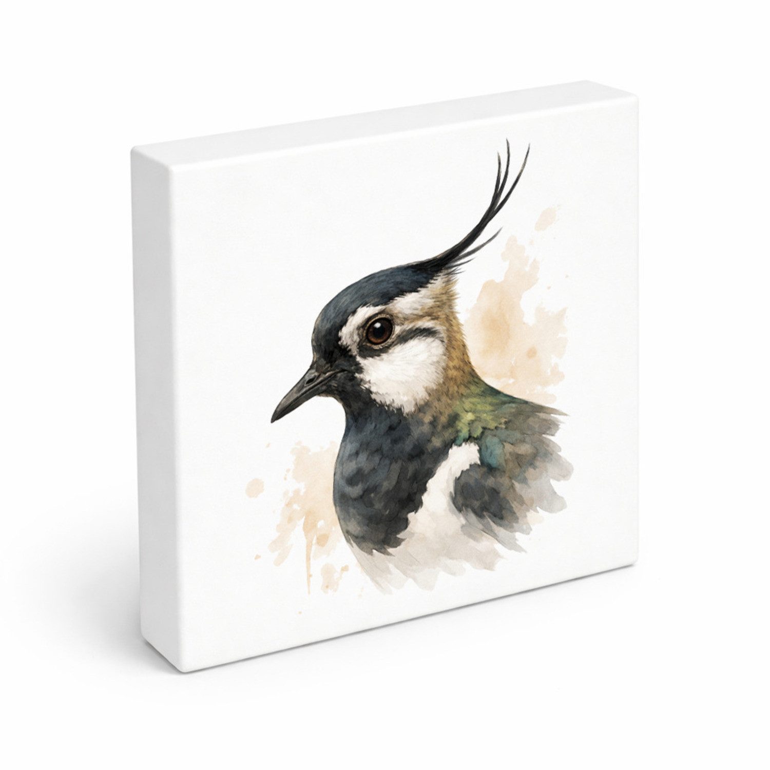 Holzbild Vogelparade Kiebitz Porträt Holzbild in 15x15 cm zum Stellen oder