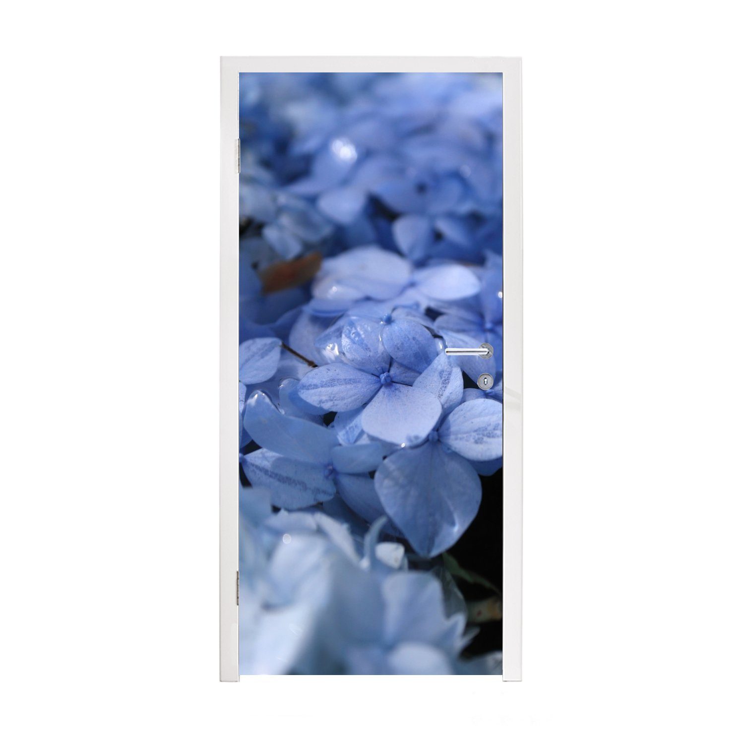 Wassertropfen, Matt, mit Tür, Hortensien (1 75x205 cm Türtapete für Fototapete St), MuchoWow Blaue bedruckt, Türaufkleber,