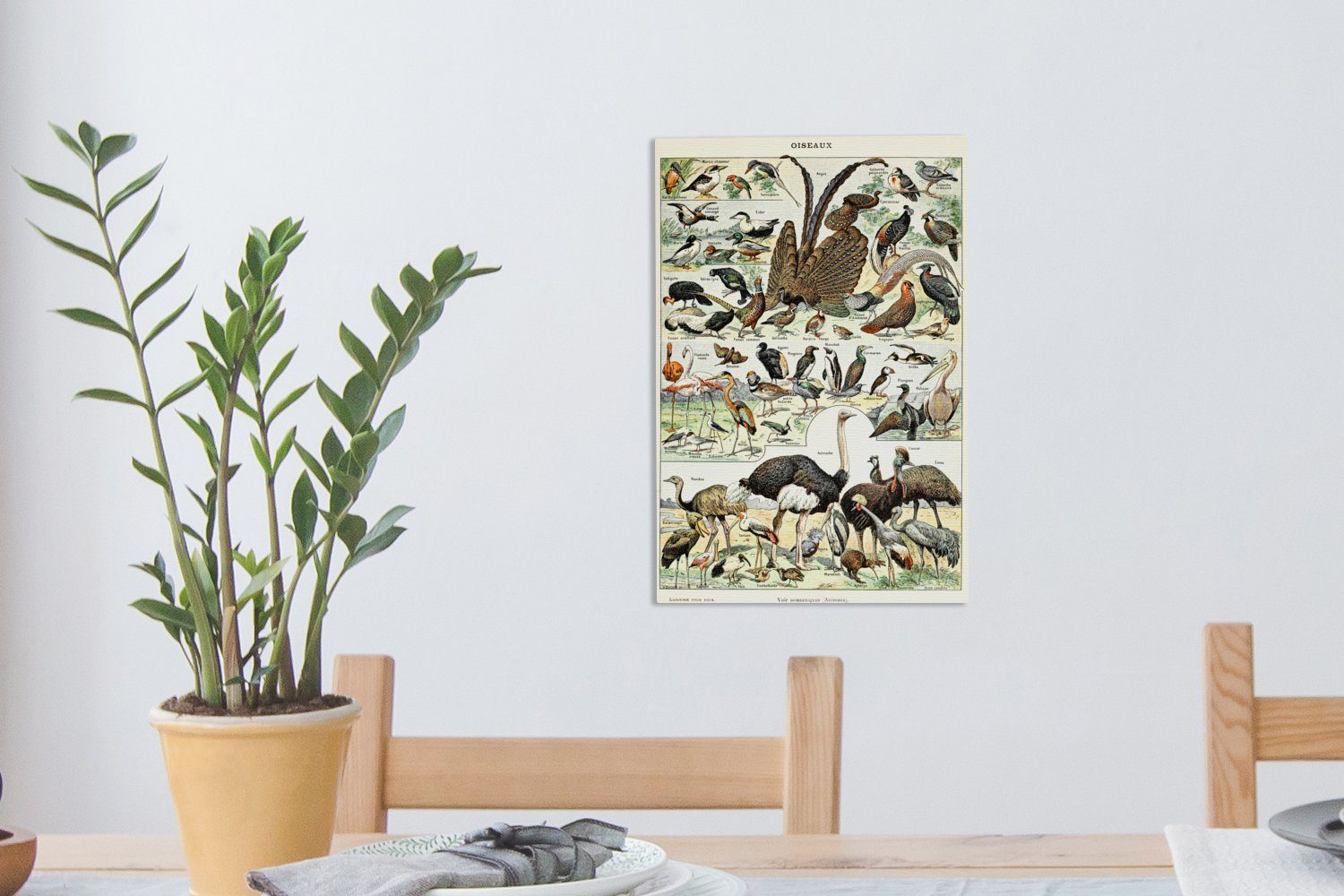 OneMillionCanvasses® (1 Gemälde, - - fertig Zackenaufhänger, cm bunt Vintage Vogel Leinwandbild St), Natur Tiere 20x30 Leinwandbild Kunstwerk, inkl. bespannt - -