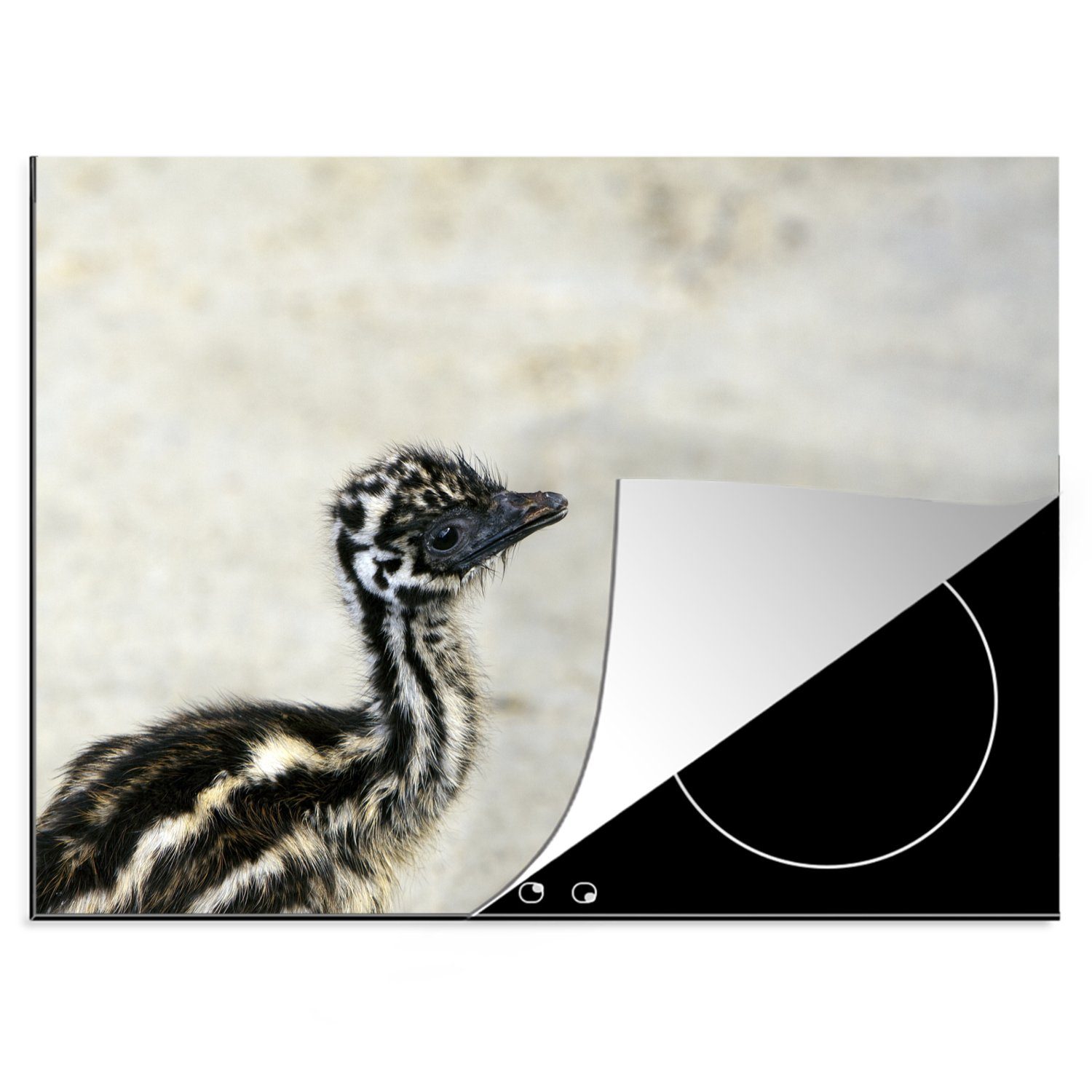 MuchoWow Herdblende-/Abdeckplatte Baby-Emu mit hellem tlg), Vinyl, 70x52 cm, Arbeitsfläche Mobile (1 Ceranfeldabdeckung nutzbar, Hintergrund