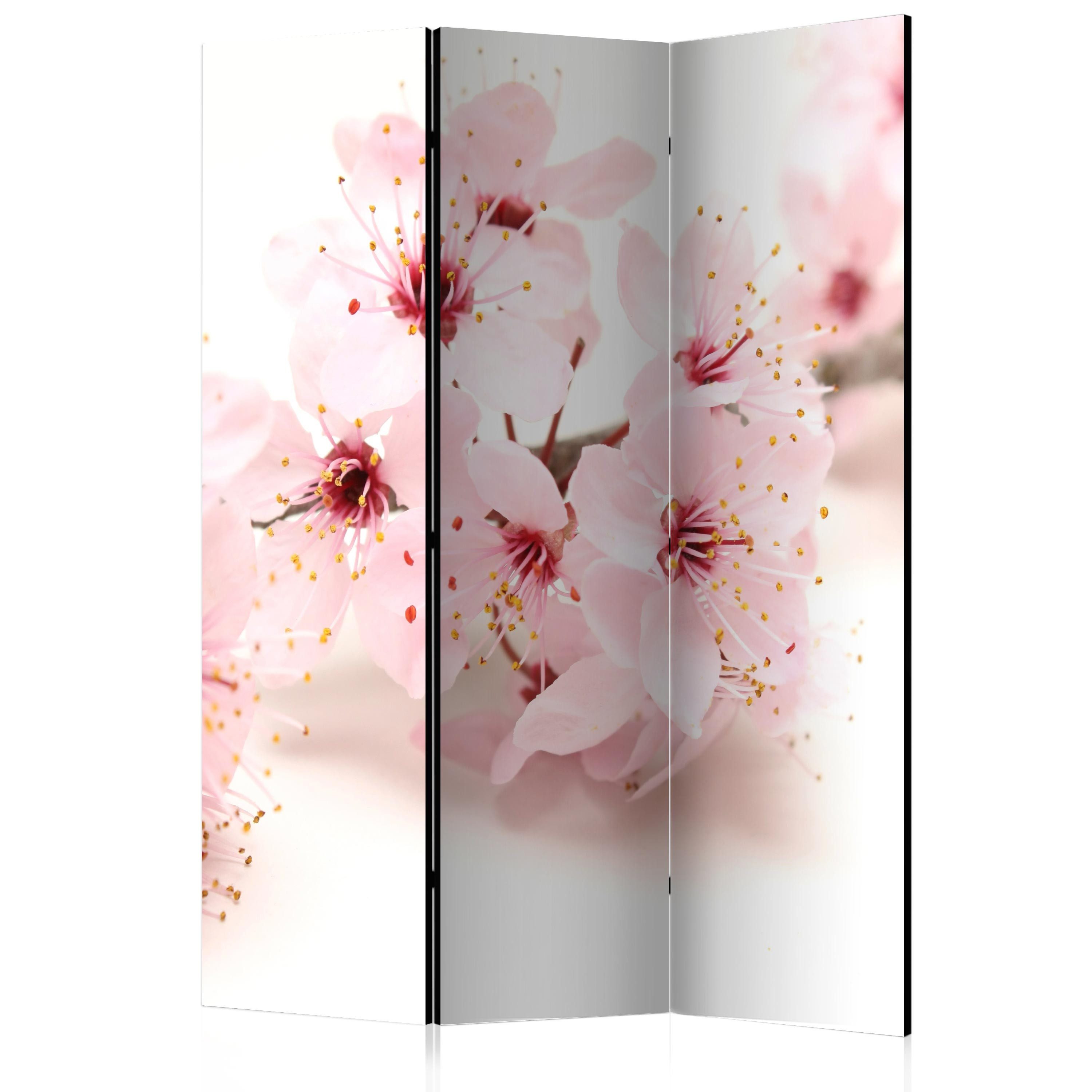 Muralo Paravent 3-teiling Raumteiler Klappbar, 3 Varianten von Mustern (Packung, 1 St., 135x172 cm), Für das Wohnzimmer, das Schlafzimmer