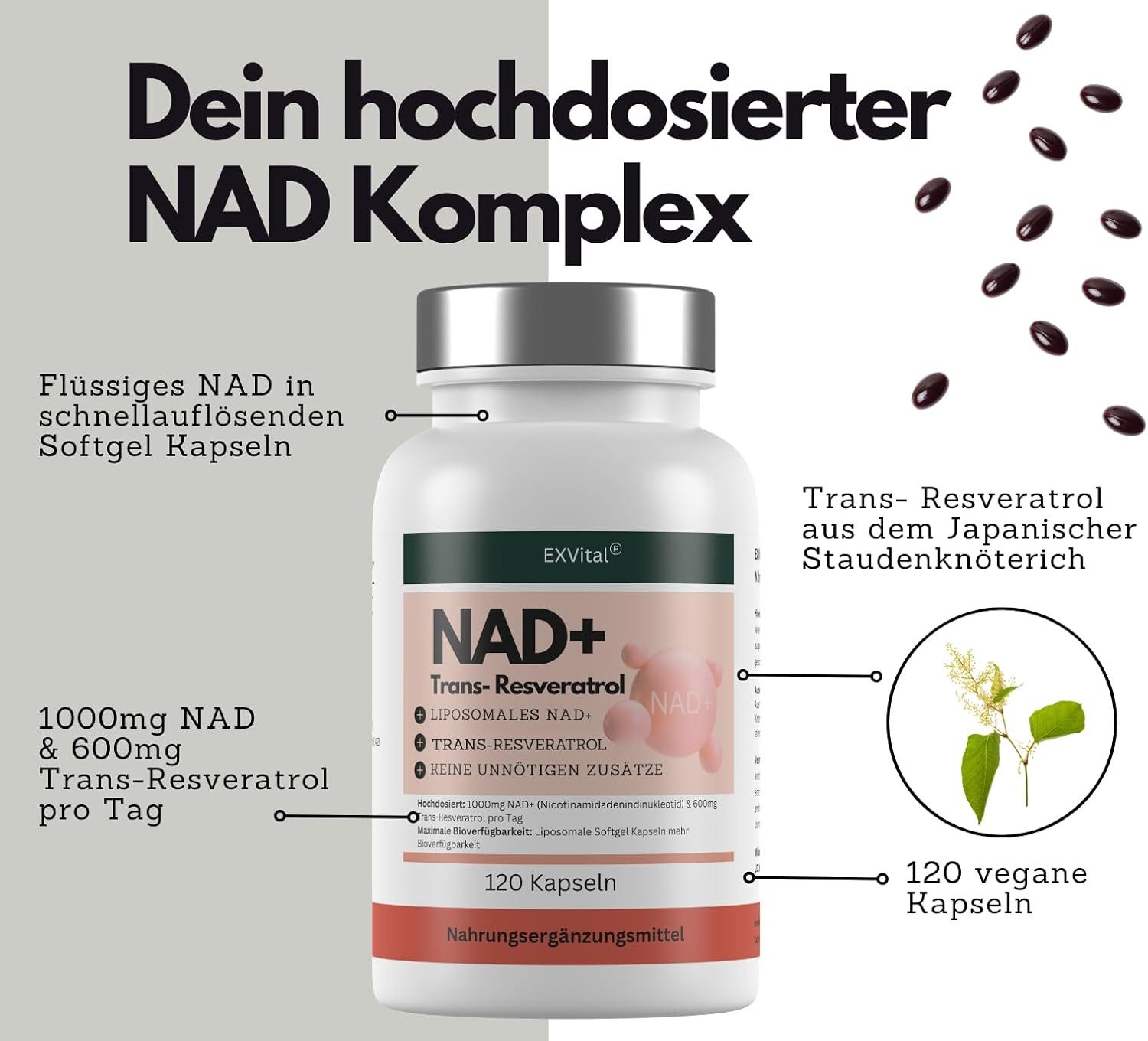 NAD+ Kapseln, hochdosiert 1000mg NAD+ & 600mg Trans-Resveratrol Softgelkapseln, 120 g