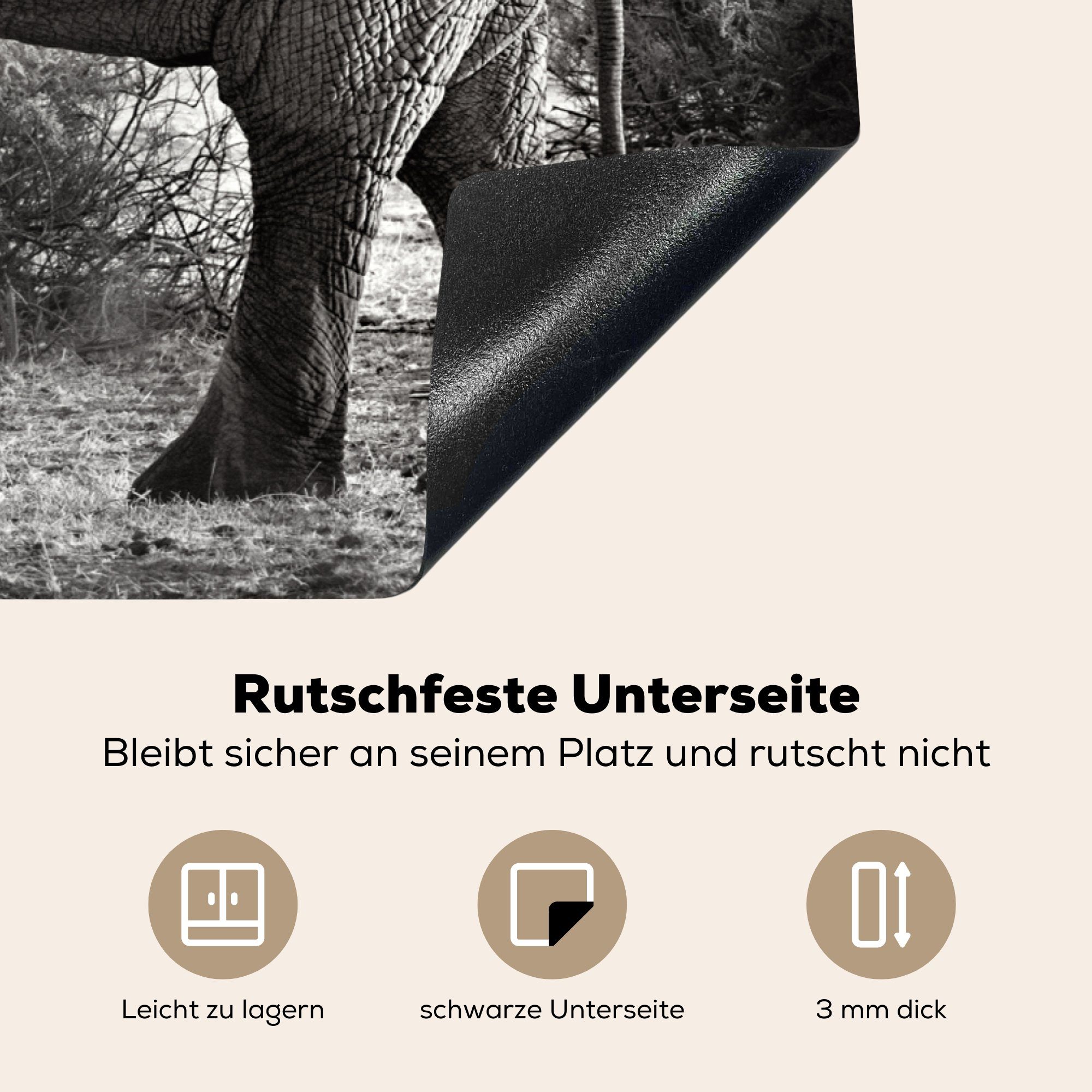 MuchoWow Herdblende-/Abdeckplatte Schutz Induktionskochfeld Weiß, die Tiere - cm, Ceranfeldabdeckung - - - Bäume (1 küche, Vinyl, 81x52 tlg), Schwarz für Elefant