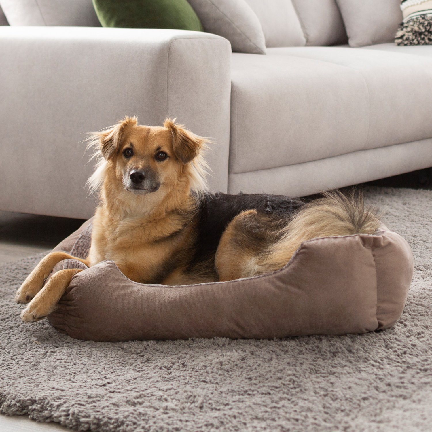 PETSTUFF Tierbett Hundebett Hundematratze Hundekissen Tierkissen, günstig online kaufen