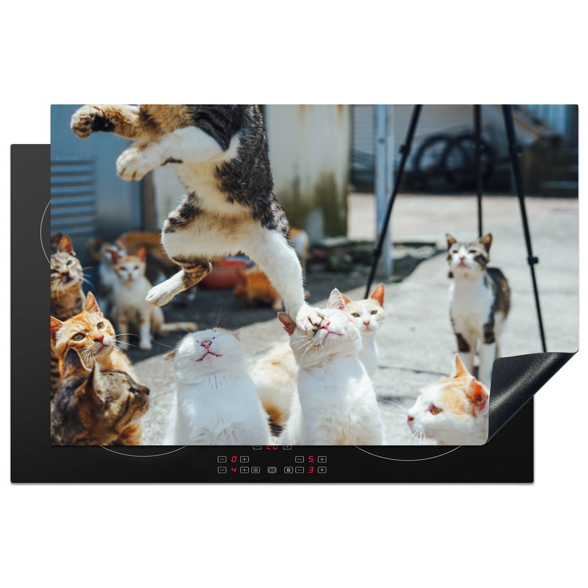 cm, Schutz Katze, (1 Ceranfeldabdeckung tlg), Katzen MuchoWow Induktionskochfeld 81x52 die springt, Herdblende-/Abdeckplatte Vinyl, küche, über für andere die Komische