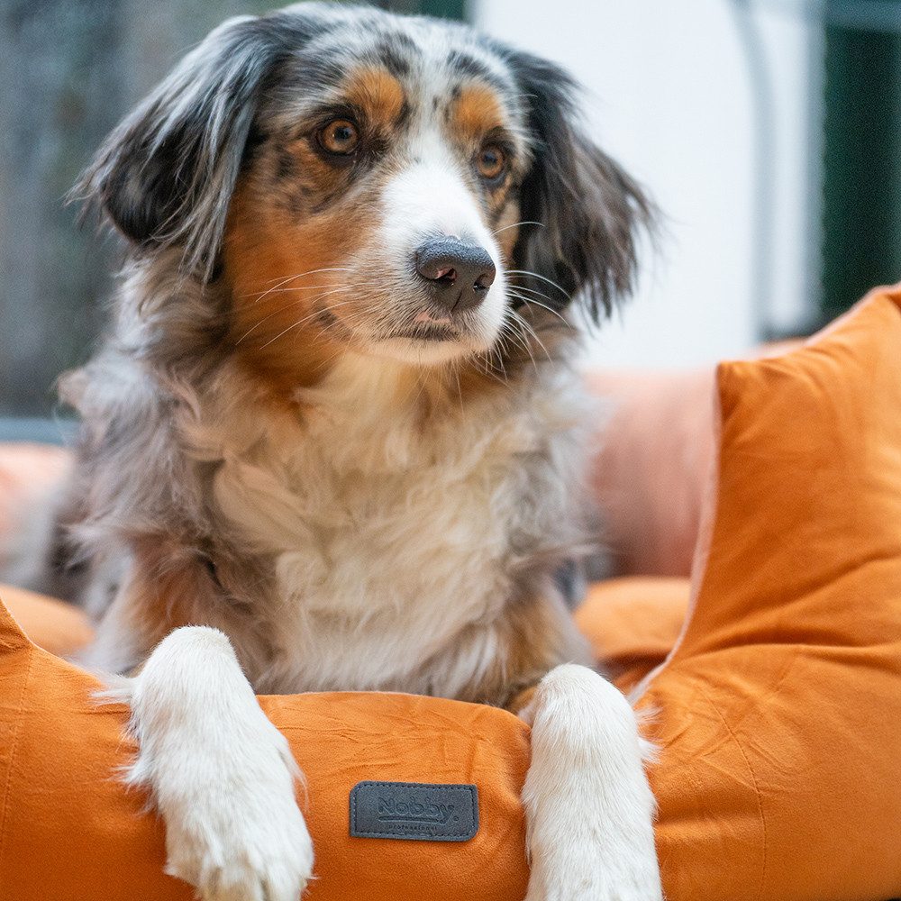 Nobby Tierbett Komfortbett "Cumba"