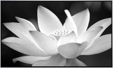 Papermoon Infrarotheizung Blume Schwarz & Weiß, sehr angenehme Strahlungswärme