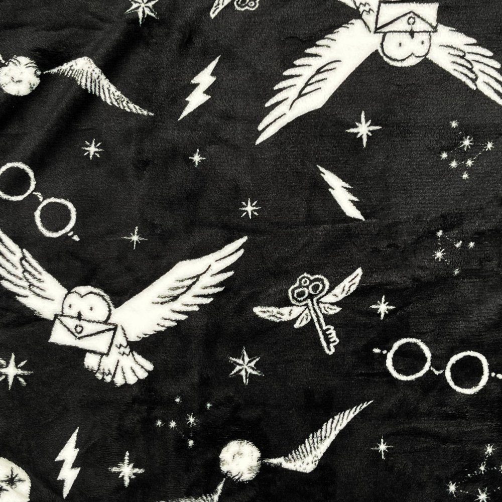 Wohndecke Harry Potter - Fleecedecke Supersoft - schwarz/weiß, Capelli New günstig online kaufen