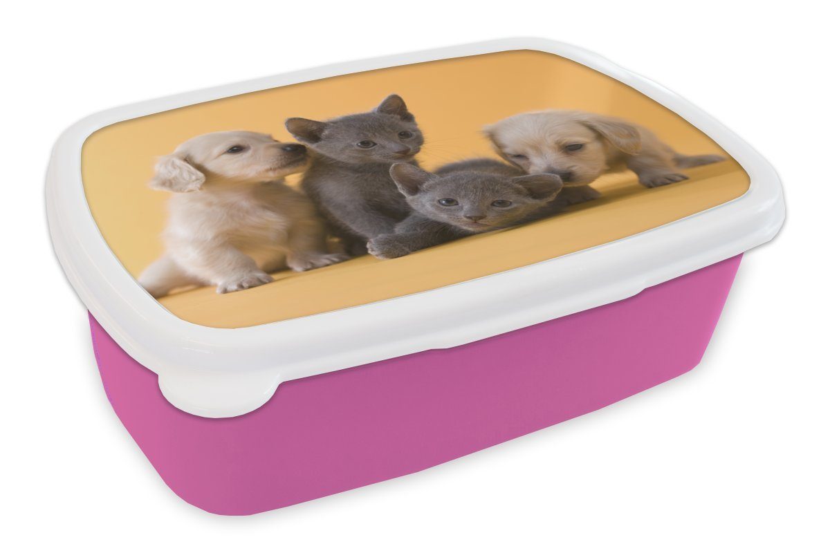 MuchoWow Lunchbox Welpe - Kätzchen - Tiere, Kunststoff, (2-tlg), Brotbox für Erwachsene, Brotdose Kinder, Snackbox, Mädchen, Kunststoff rosa