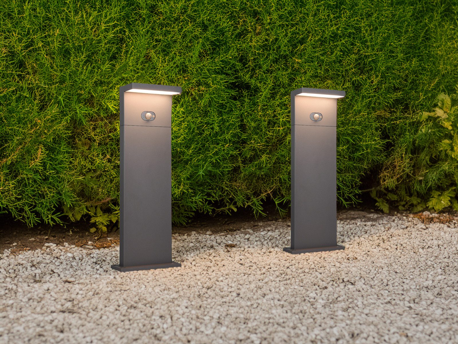 TRIO Leuchten LED Pollerleuchte, Bewegungsmelder, LED fest integriert, Warmweiß, Neutralweiß, 2er Set HYBRID Garten Wegbeleuchtung mit Strom und Solar, Höhe 60cm