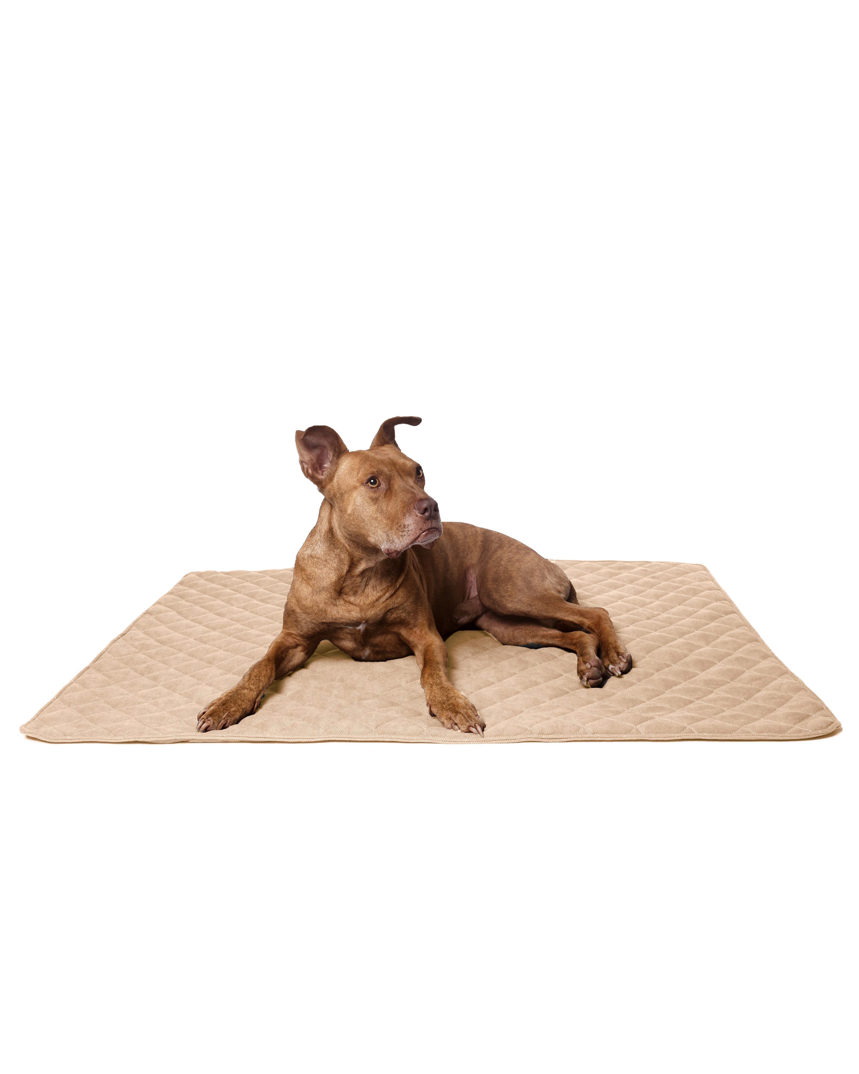lous Hundematte Lous stilvolle Hundematte Hundedecke günstig online kaufen