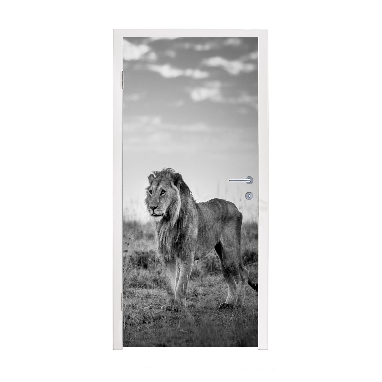 MuchoWow Türtapete Löwe - Sonnenuntergang - Jagd, Matt, bedruckt, (1 St), Fototapete für Tür, Türaufkleber, 75x205 cm