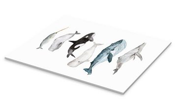 Posterlounge Acrylglasbild Mantika Studio, Leben im Meer, Wale, Badezimmer Minimalistisch Malerei