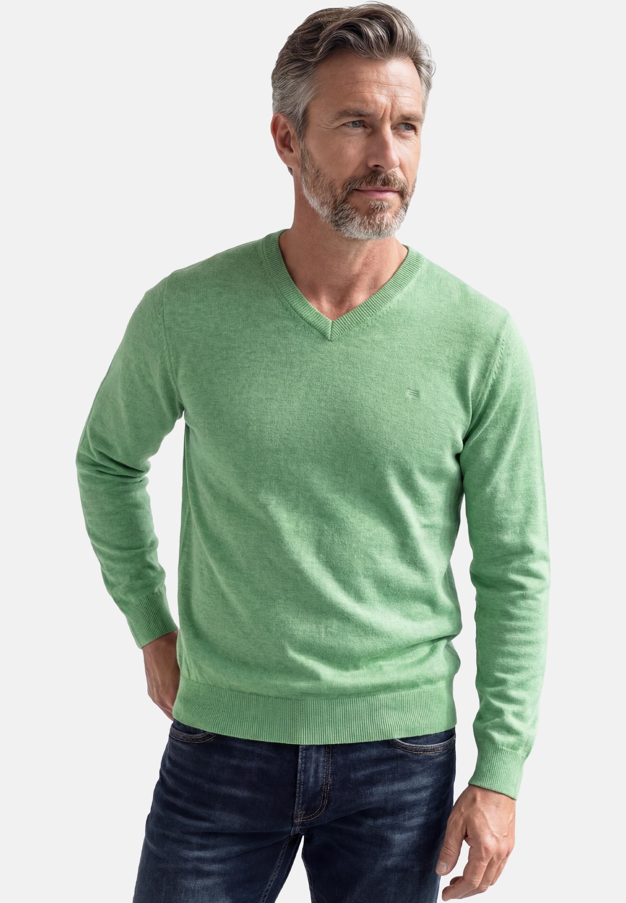 V-Ausschnitt-Pullover Basic