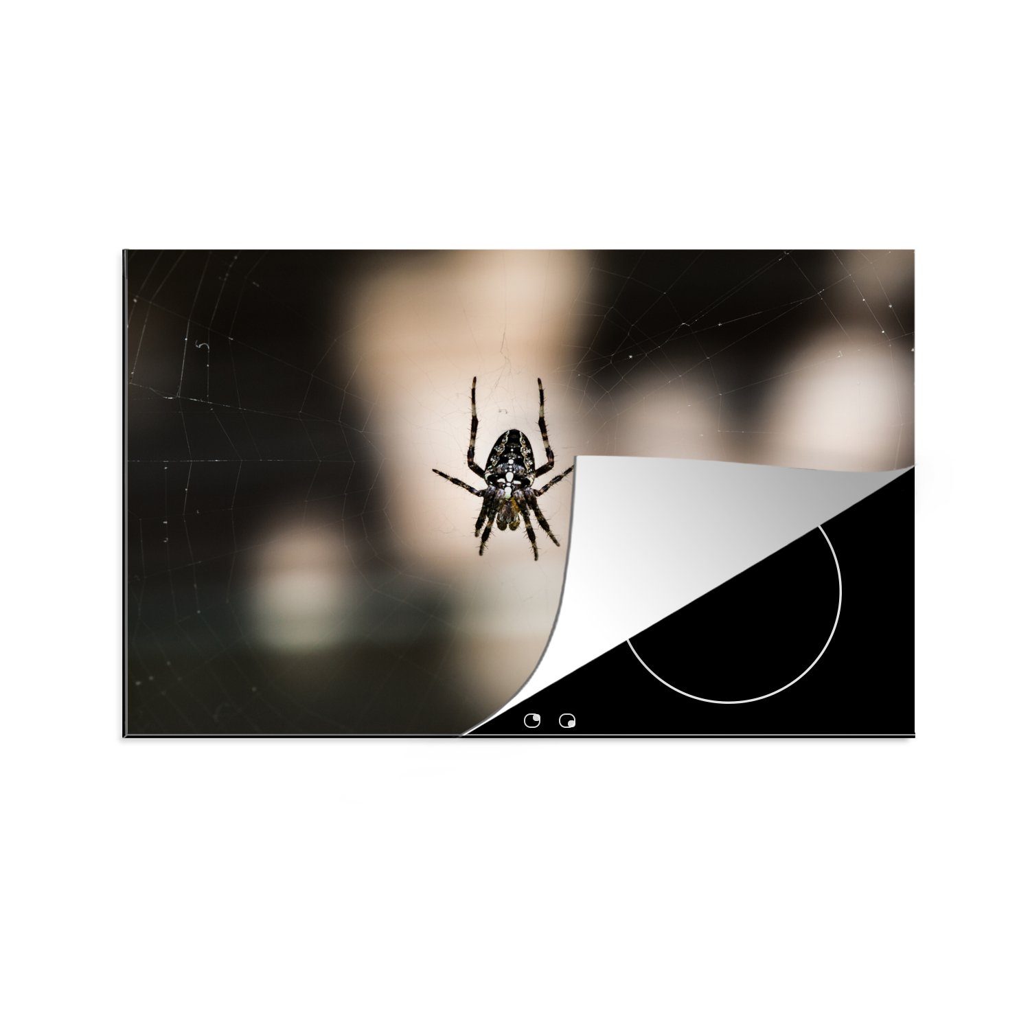 MuchoWow Herdblende-/Abdeckplatte Unterseite einer Spinne, Vinyl, (1 tlg), 81x52 cm, Induktionskochfeld Schutz für die küche, Ceranfeldabdeckung