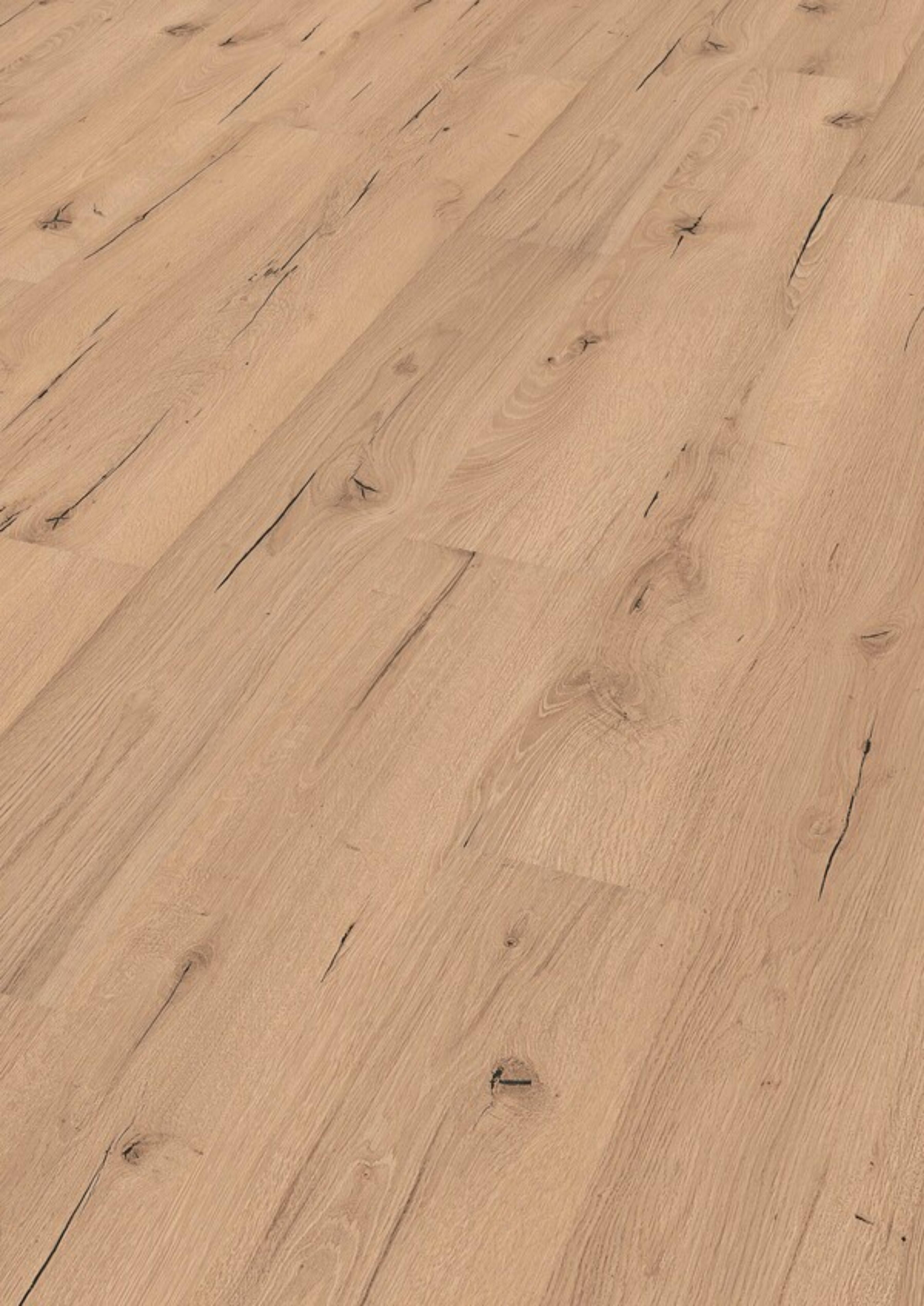 meister Laminat 6258 LC 55S >RISSEICHE günstig online kaufen