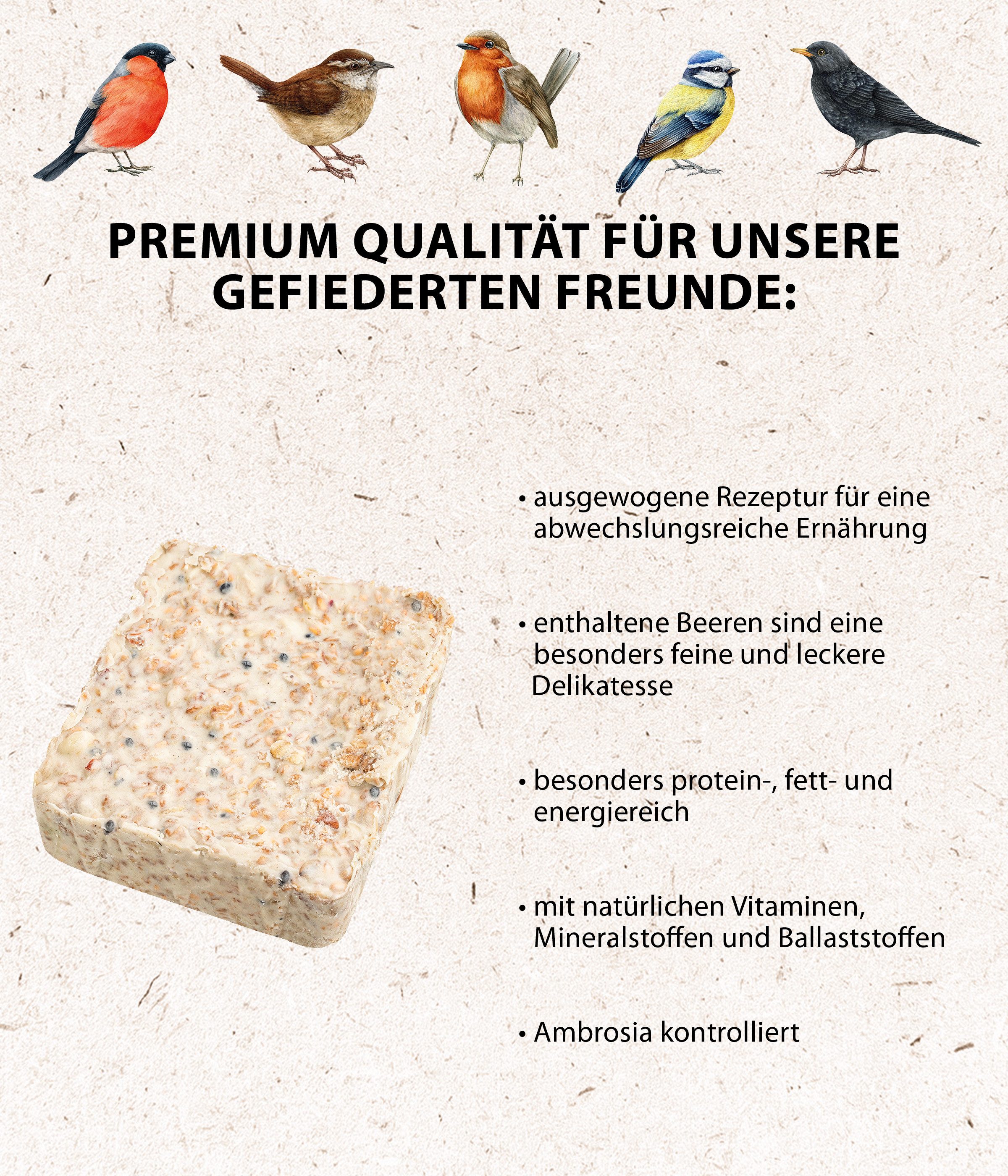 Dehner Natura Premium Beeren-Futtertafel, Wildvogelfutter, 12 x 300 g, Hauptfutter für: Wildvogel, Gartenvögel, hochwertiges Fettfutter, energiereiches Ganzjahresfutter