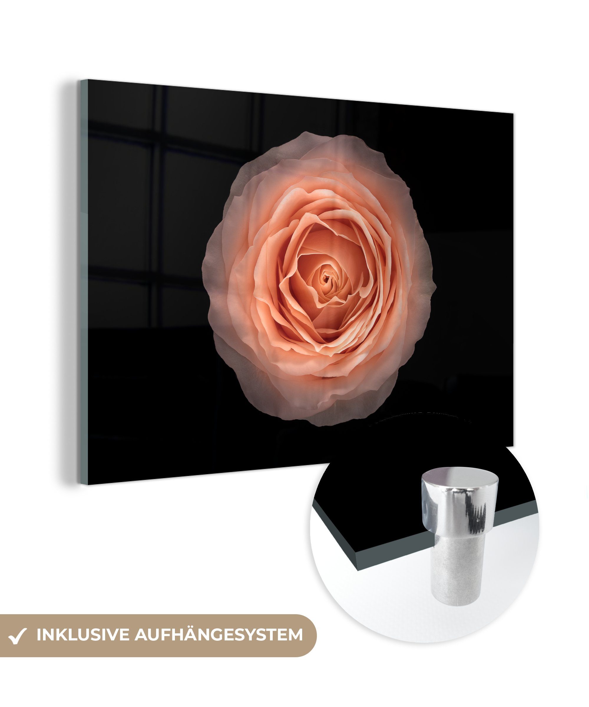 MuchoWow Acrylglasbild Runde Form Rosa Blume auf schwarzem Hintergrund, Ansicht von oben, (1 St), Acrylglasbilder Wohnzimmer & Schlafzimmer