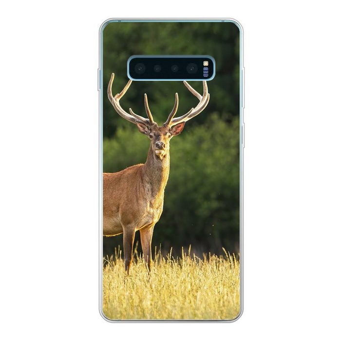 MuchoWow Handyhülle Hirsch - Geweih - Gras - Natur - Tiere - Grün Phone Case Handyhülle Samsung Galaxy S10+ Silikon Schutzhülle