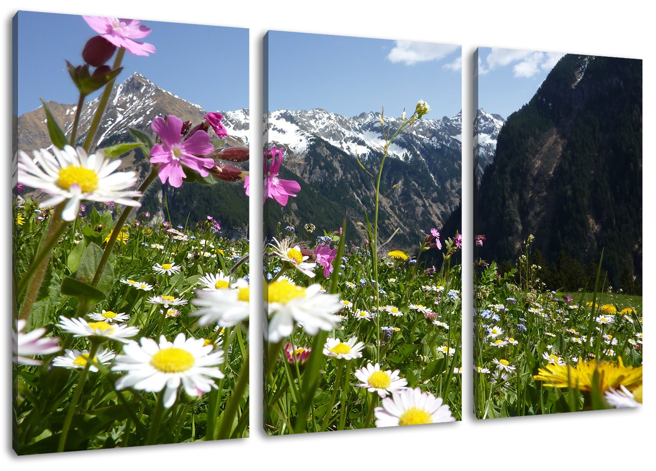 Pixxprint Leinwandbild Wunderschöne Blumen Alpenwiese, Wunderschöne Blumen Alpenwiese 3Teiler (120x80cm) (1 St), Leinwandbild fertig bespannt, inkl. Zackenaufhänger