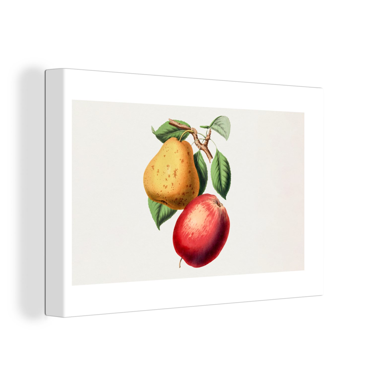 OneMillionCanvasses® Leinwandbild Birne - Apfel - Obst, (1 St), Wandbild Leinwandbilder, Aufhängefertig, Wanddeko, 30x20 cm