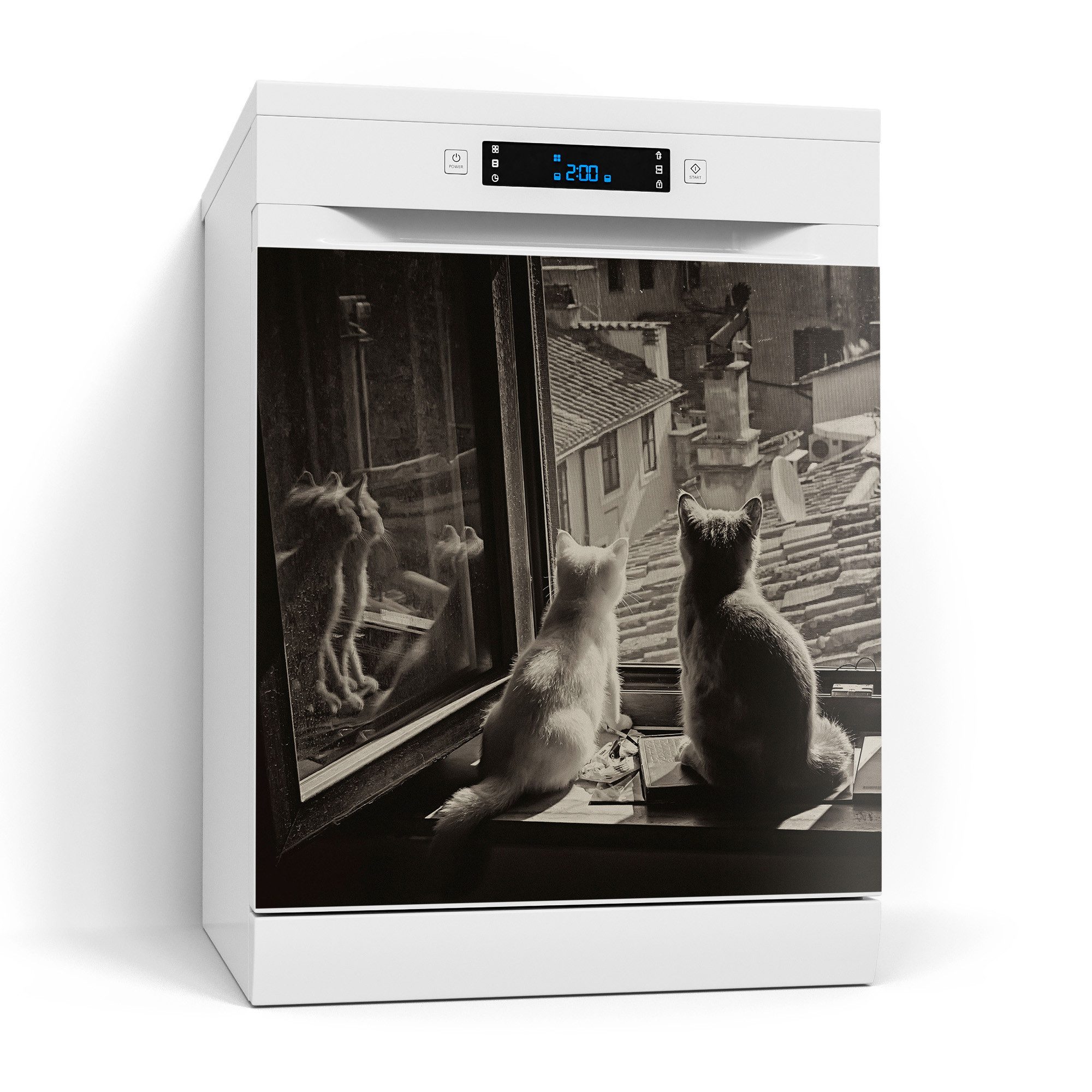 DEQORI Magnetfolie 'Katzen auf Fensterbrett', Spülmaschine Magnetmatte magnetisch Magnetfolie Folie Schutz