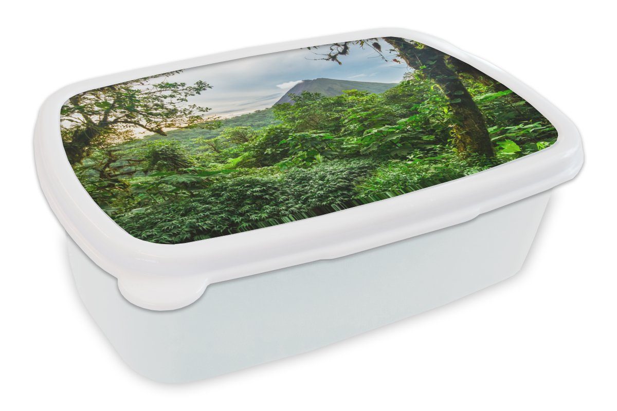 MuchoWow Lunchbox Dschungel - Baum - Vulkan - Jungen - Mädchen - Kind, Kunststoff, (2-tlg), Brotbox für Kinder und Erwachsene, Brotdose, für Jungs und Mädchen weiß