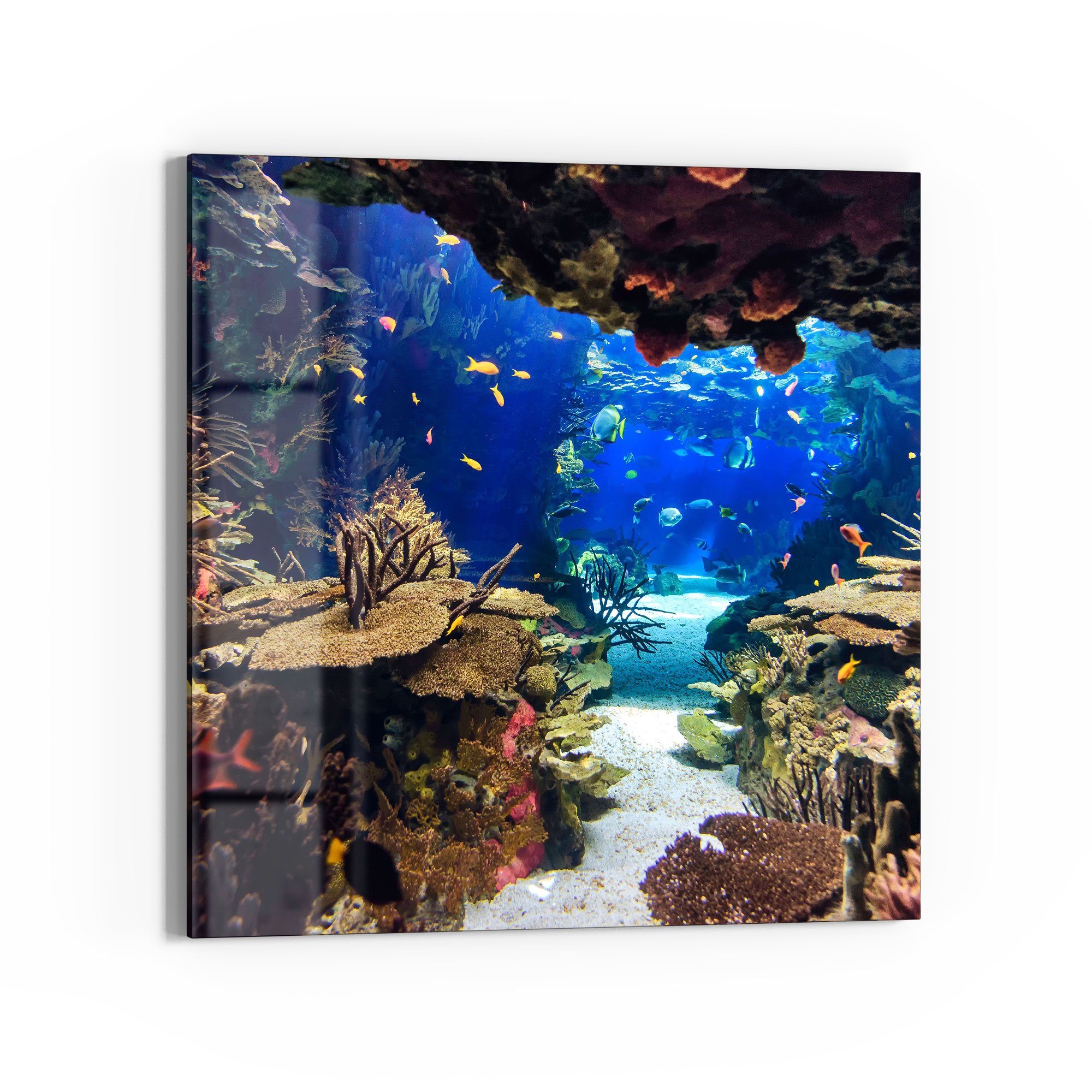 DEQORI Glasbild 'Exotisches Aquarium', 'Exotisches Aquarium', Glas Wandbild Bild schwebend modern