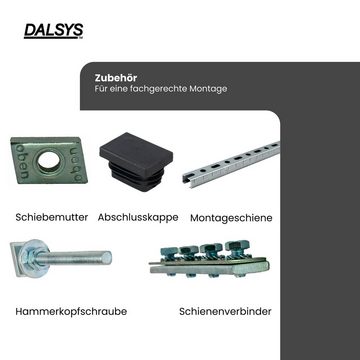 Dalsys Bauschraube, (Halteklammer für Montageschienen, 100 St), zur Anwendung an einer Installationsschiene, verzinkter Stahl