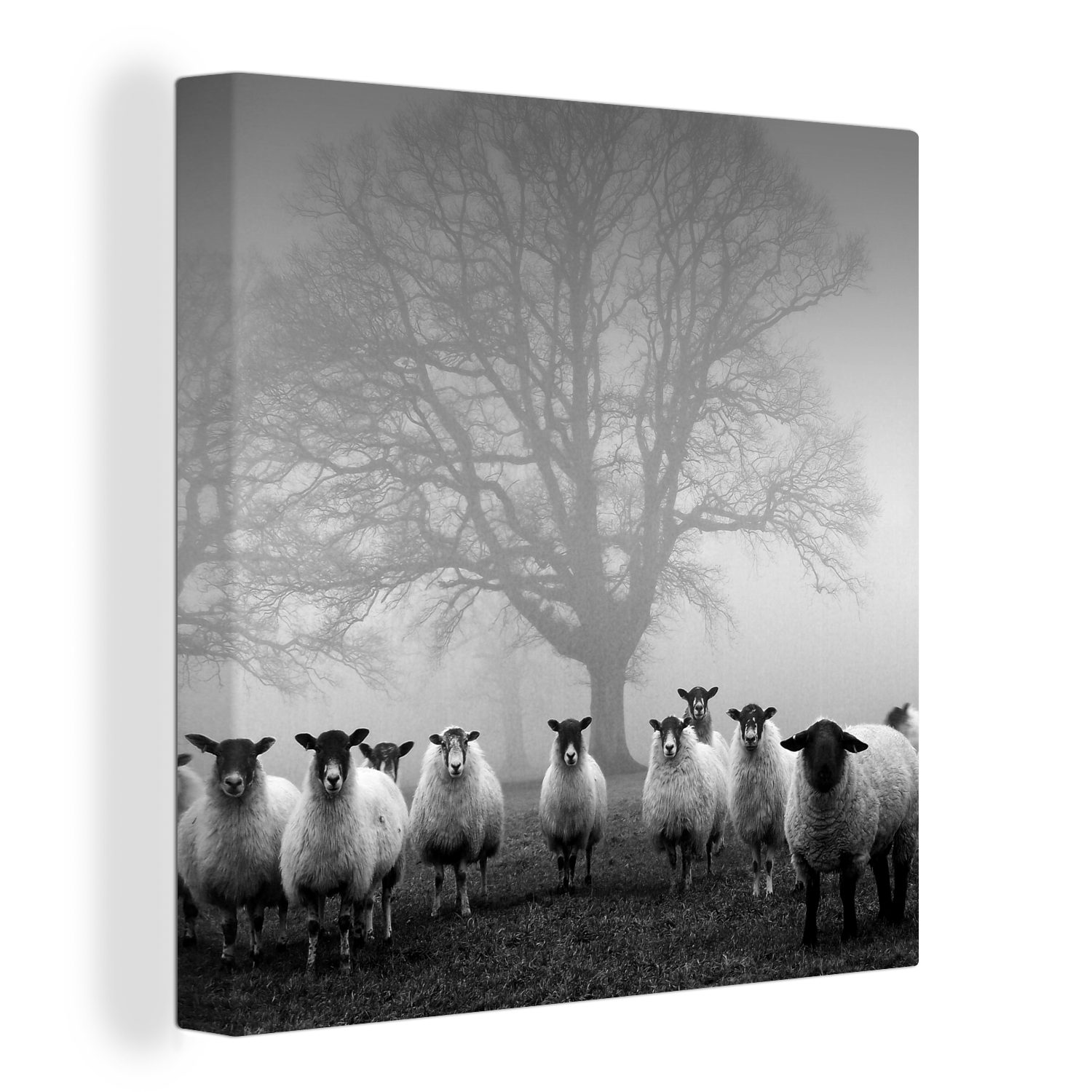 OneMillionCanvasses® Leinwandbild Schafherde im Nebel - schwarz und weiß, ( günstig online kaufen