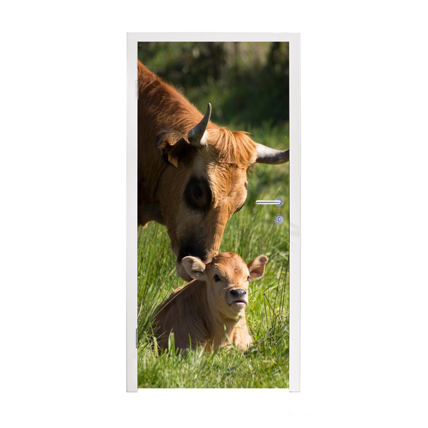 MuchoWow Türtapete Kuh - Gras - Horn - Kalb, Matt, bedruckt, (1 St), Fototapete für Tür, Türaufkleber, 75x205 cm
