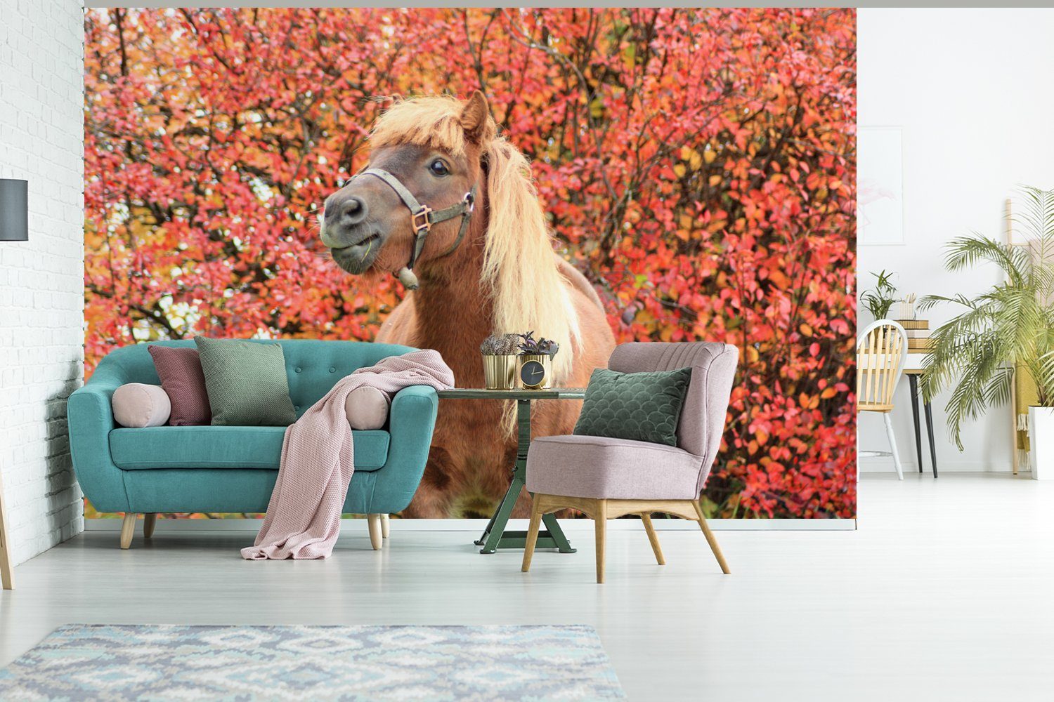 MuchoWow Fototapete Pferd - Pony Matt, St), Schlafzimmer, bedruckt, Kinderzimmer, Herbstblätter, für - Tapete Vinyl Wohnzimmer, (6 Wallpaper