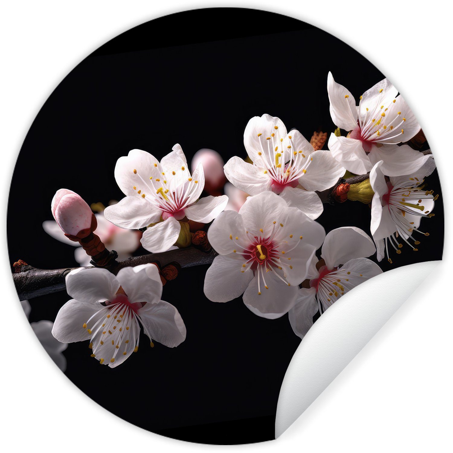Kinderzimmer, Wohnzimmer Sakura - St), Weiß - Wandsticker - Botanisch - Blütenzweige Rund, Tapetenkreis für (1 Blumen Tapetenaufkleber, MuchoWow