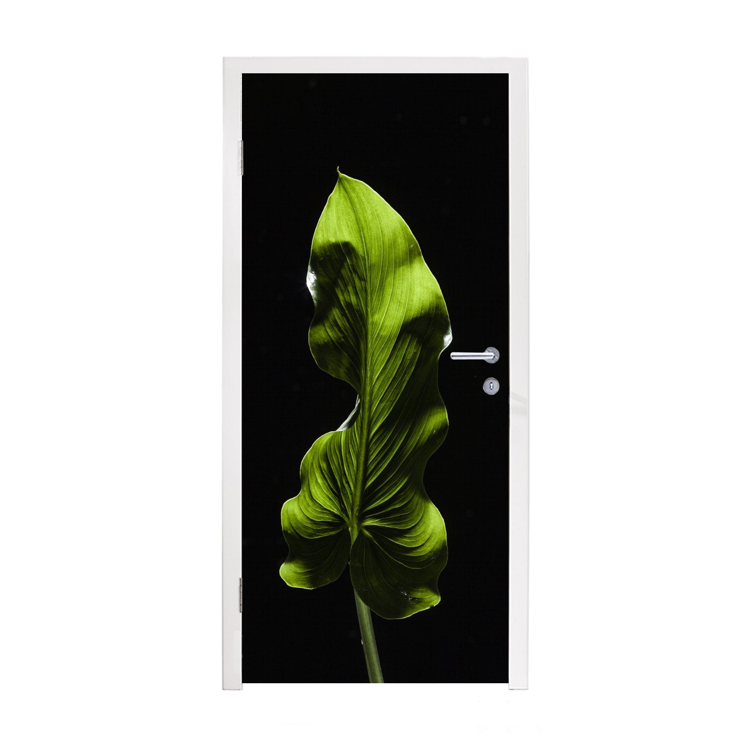 MuchoWow Türtapete Ein grünes Blatt auf schwarzem Hintergrund, Matt, bedruckt, (1 St), Fototapete für Tür, Türaufkleber, 75x205 cm