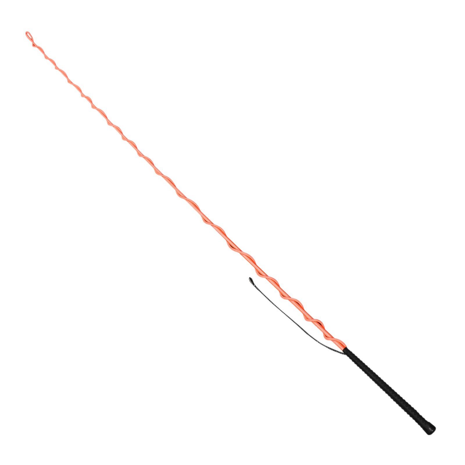 EQuest Longierpeitsche Longierpeitsche, orange, 180 cm