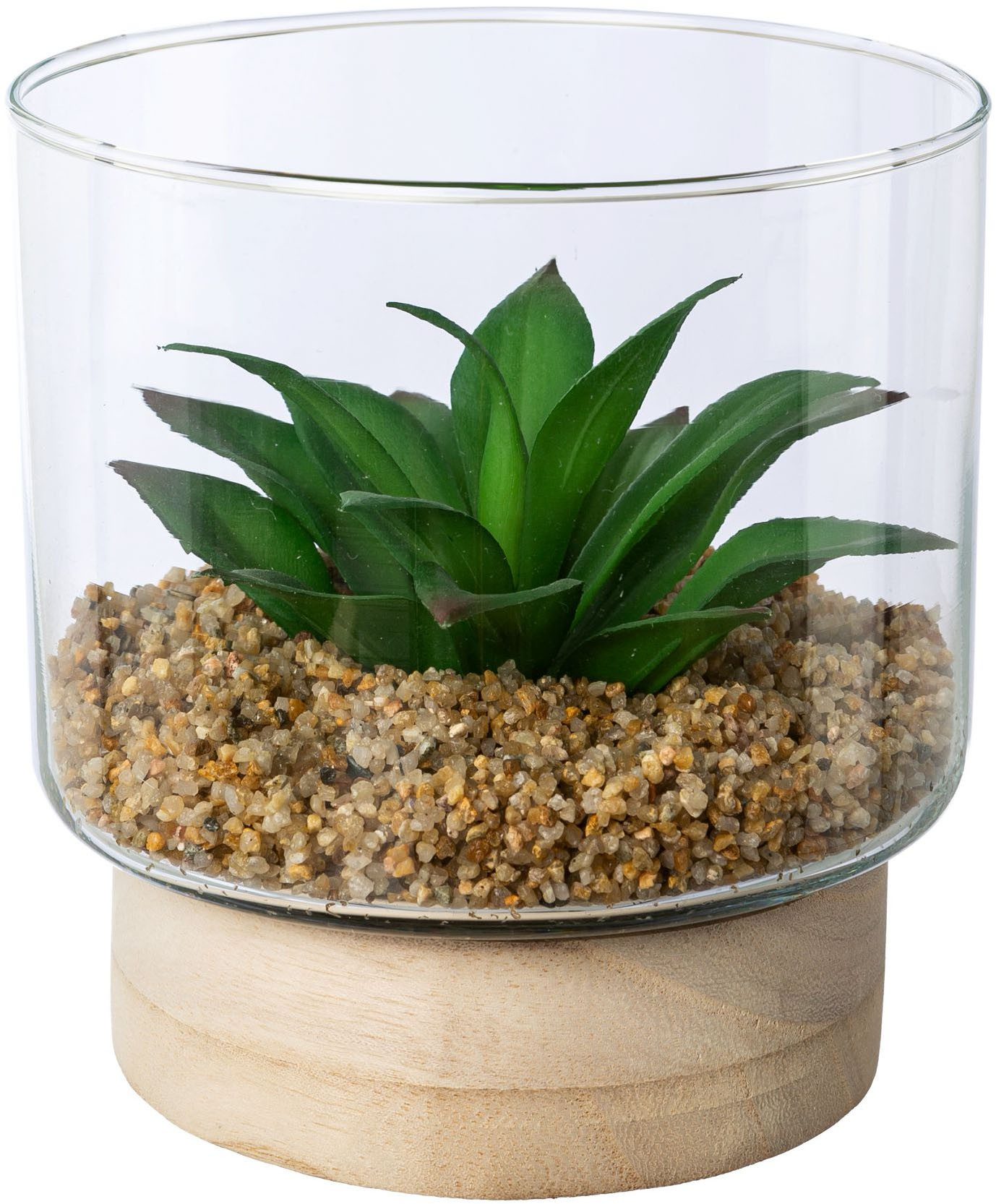 Kunstpflanze Sukkulenten im Glasgefäß, Creativ green, Höhe 12,5 cm, mit 2 verschiedenen Sukkulenten – Bild 3 von 4