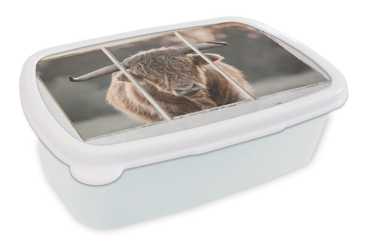 MuchoWow Lunchbox Scottish Highlander - Ansicht - Hörner, Kunststoff, (2-tlg), Brotbox für Kinder und Erwachsene, Brotdose, für Jungs und Mädchen weiß